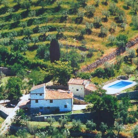 Agriturismo Montereggi Fiesole Habitación foto
